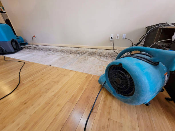 Professional Structural Drying technician working in Lancaster, PA